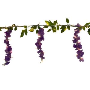 Ghirlanda glicine viola 1,8m. 70 LED Bianco Caldo IP44